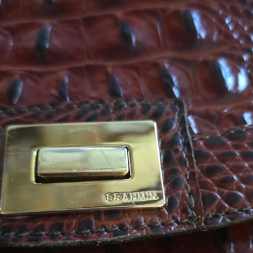 Brahmin luxurious brown
